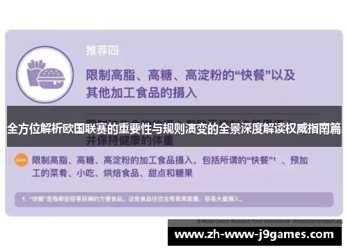 全方位解析欧国联赛的重要性与规则演变的全景深度解读权威指南篇