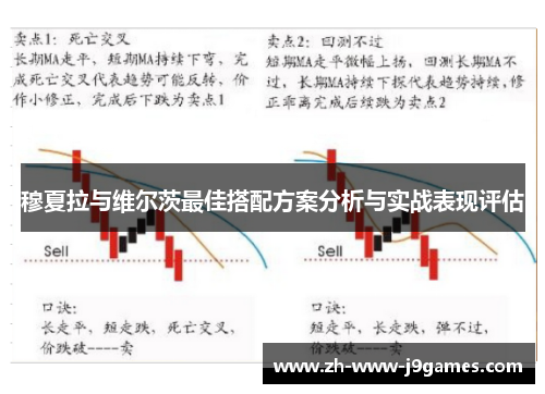 穆夏拉与维尔茨最佳搭配方案分析与实战表现评估