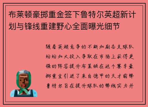 布莱顿豪掷重金签下鲁特尔英超新计划与锋线重建野心全面曝光细节